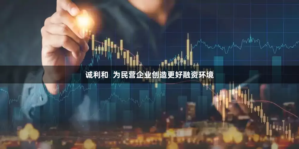 诚利和  为民营企业创造更好融资环境