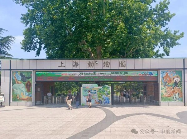 泽峰资本 10月龄婴儿展馆内喝奶被驱赶引争议，上海动物园称做法合规