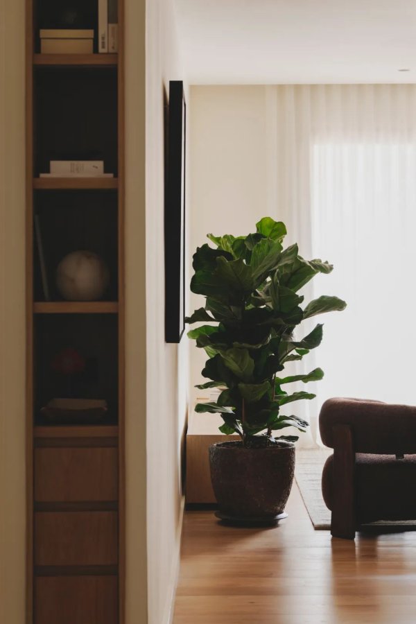 宜人配资 夫妻俩用这5个设计,让家变得既温暖又高效