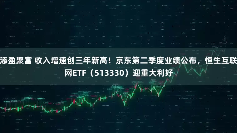 添盈聚富 收入增速创三年新高！京东第二季度业绩公布，恒生互联网ETF（513330）迎重大利好