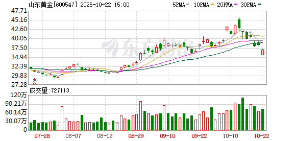 壹策略 山东黄金：2024年年度股东大会决议公告