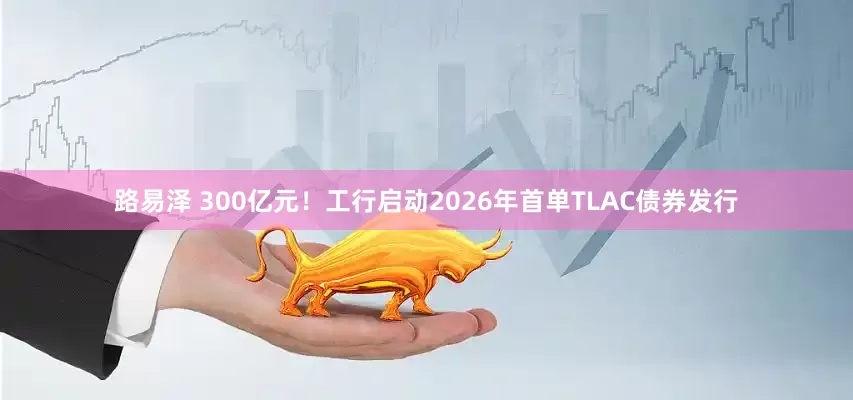路易泽 300亿元！工行启动2026年首单TLAC债券发行